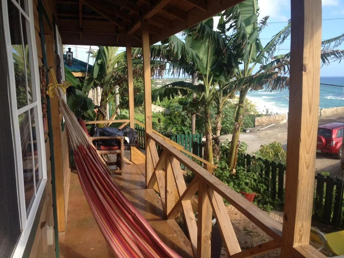 Villa Rasta Port Antonio Guest house