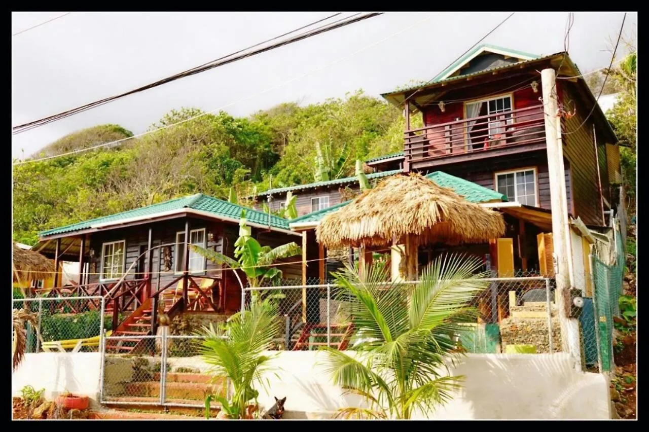 Villa Rasta Port Antonio