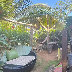 Guest house Rasta - Ocean View Bungalows, Port Antonio