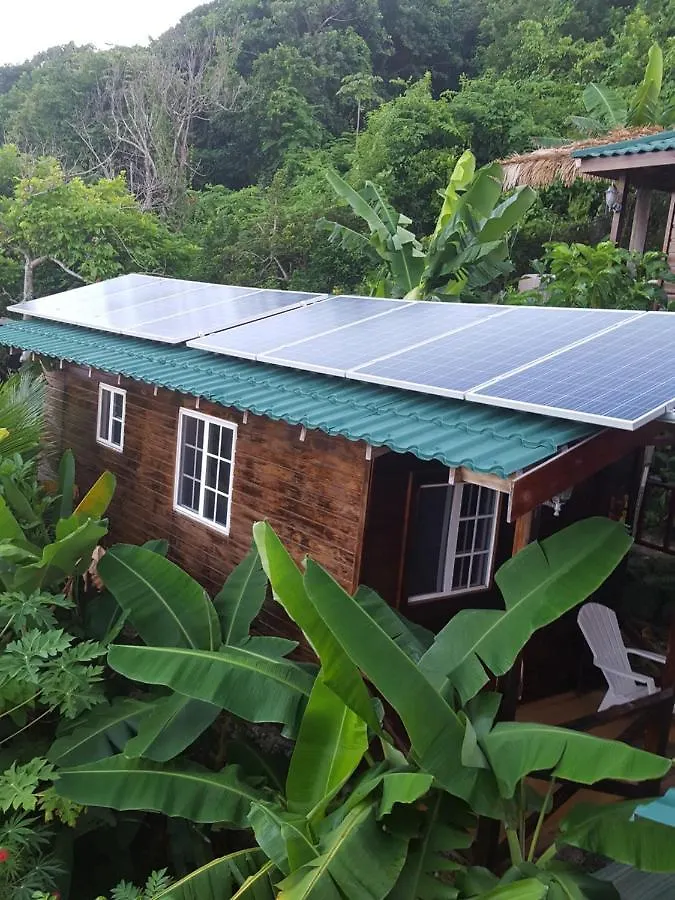 Villa Rasta Port Antonio 0*,  Jamajka
