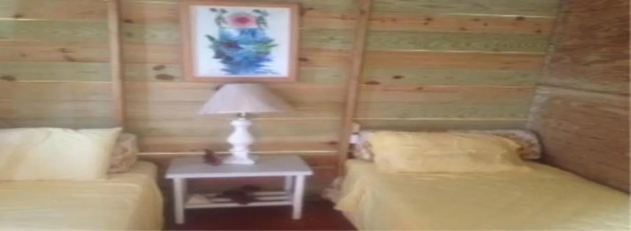 Villa Rasta Port Antonio Penzion